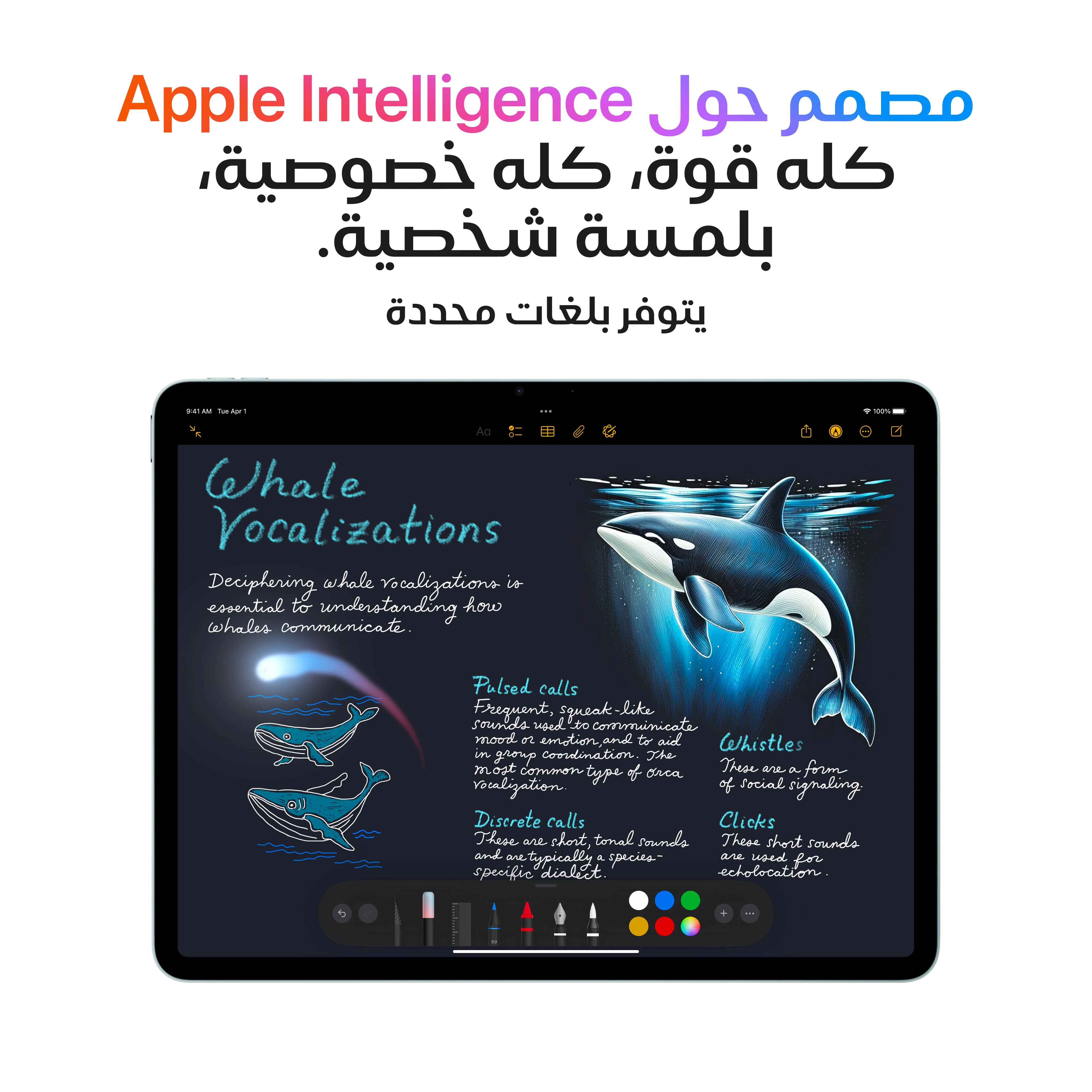 صورة المنتج 5