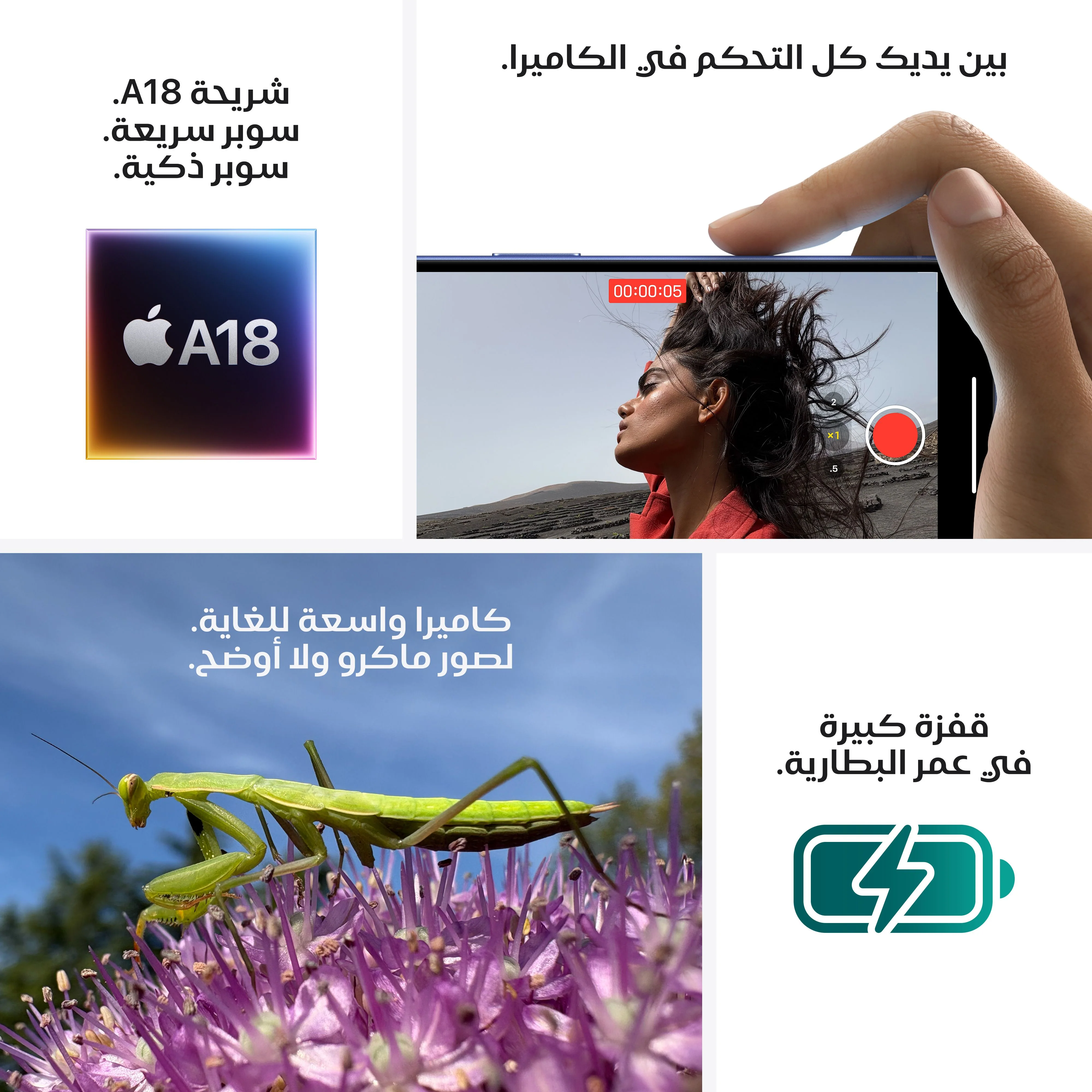 صورة المنتج 8