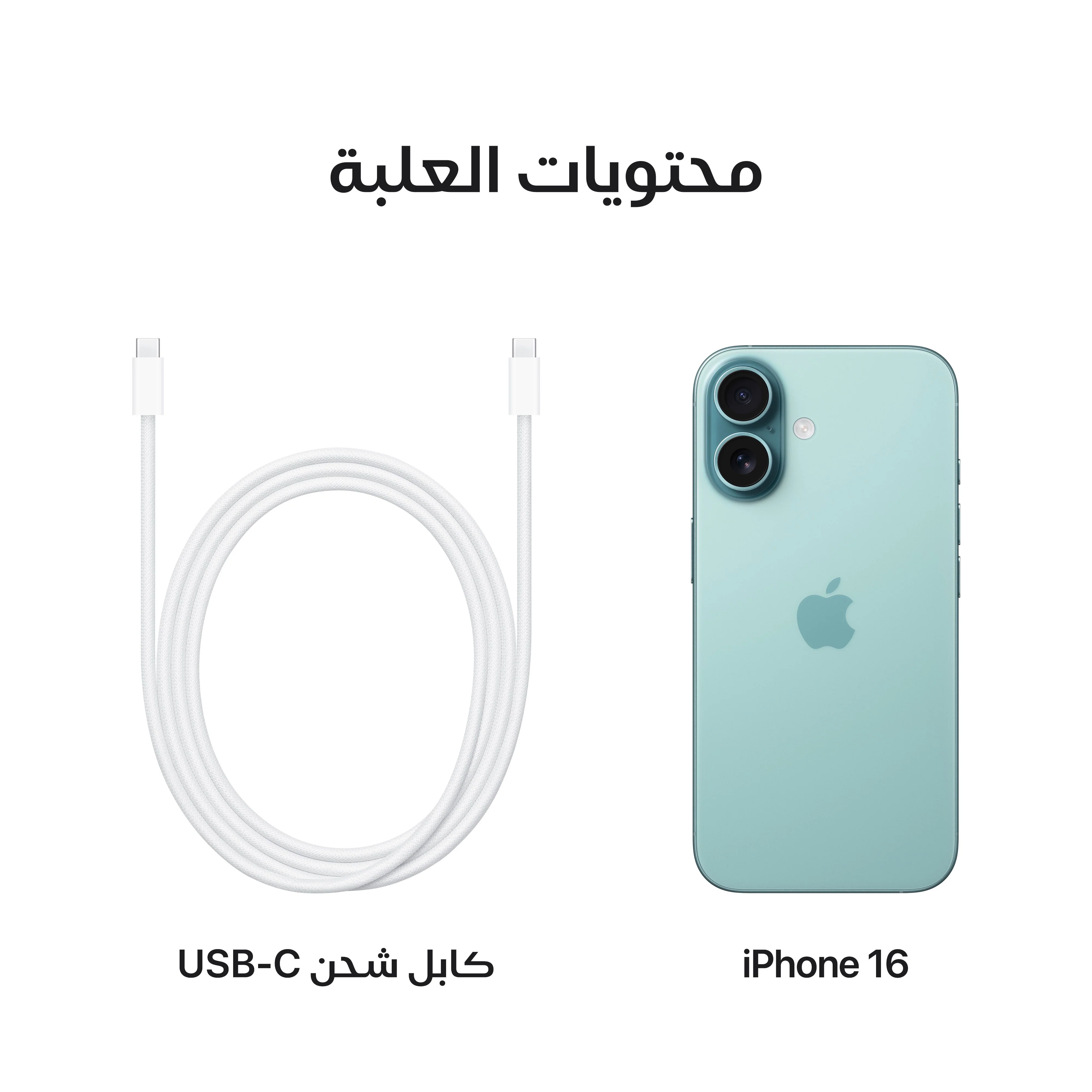 صورة المنتج 9