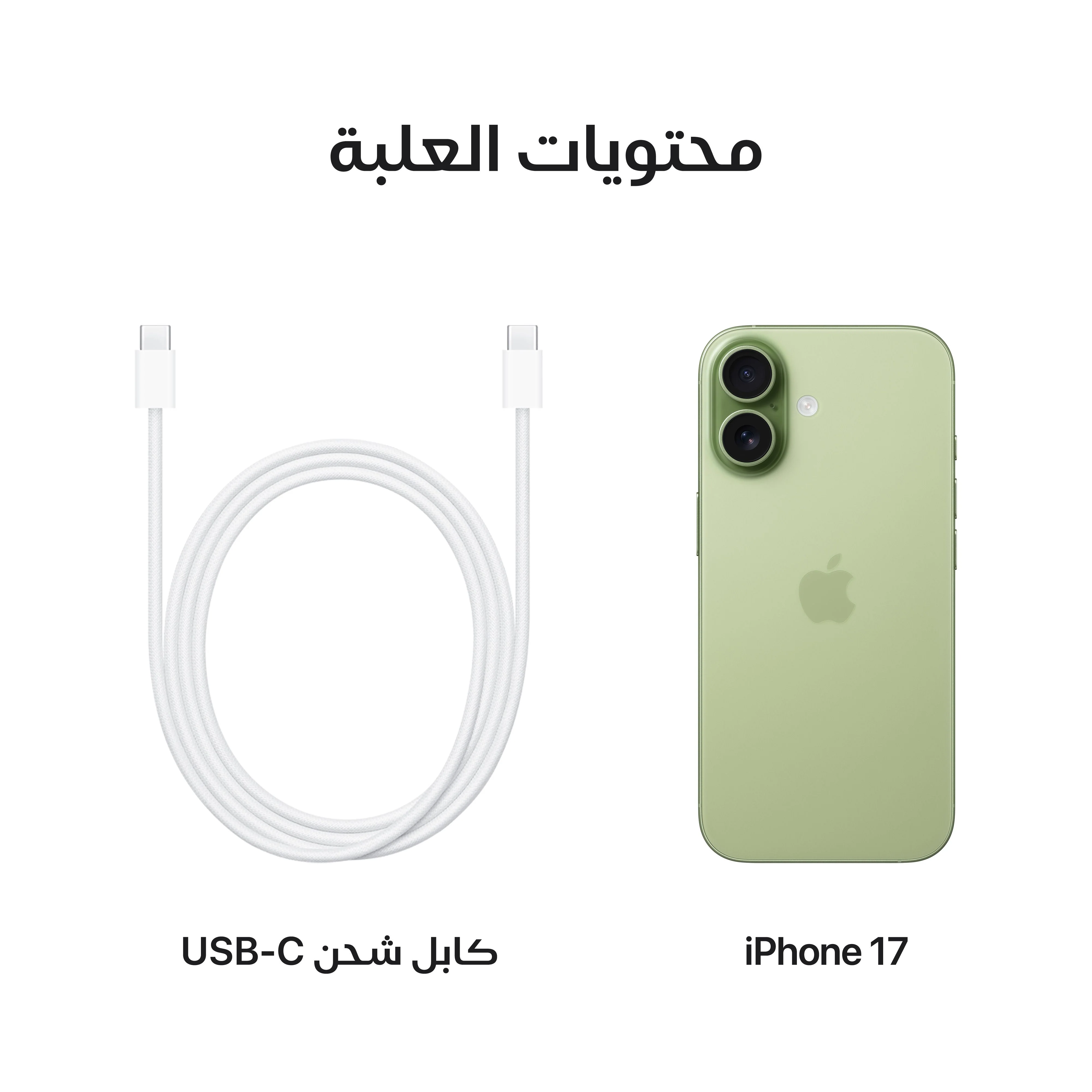 صورة المنتج 8