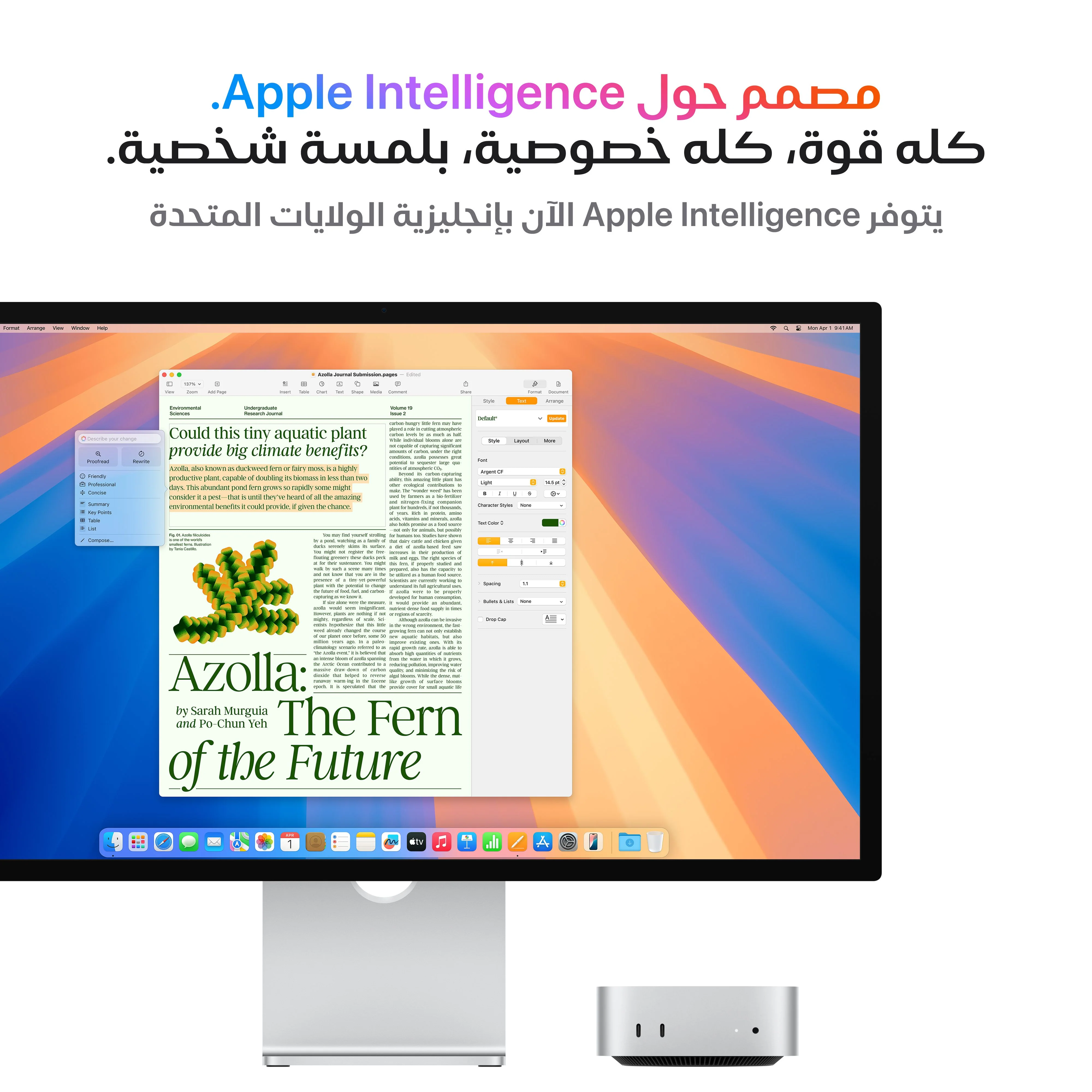 صورة المنتج 4